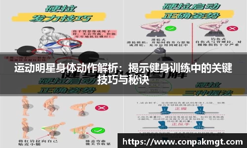 米兰体育官网