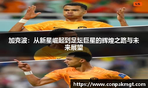 米兰体育官网