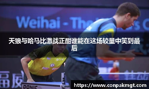 米兰体育官网